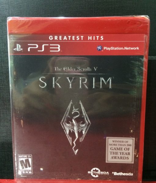 PS3 Skyrim Standar game