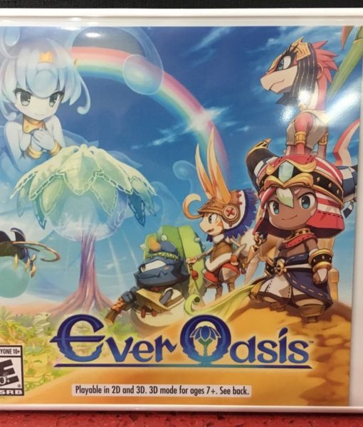 3DS Ever Oasis game