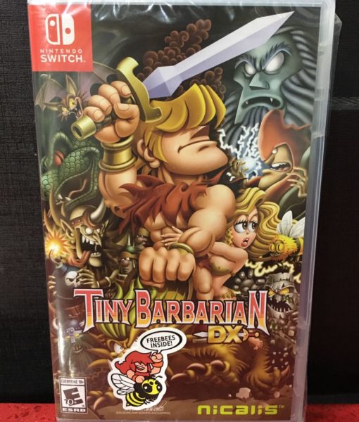 NSW Tiny Barbarian game
