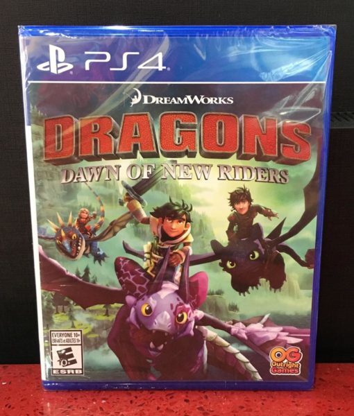 PS4 Dragons Dawn of the New Riders game