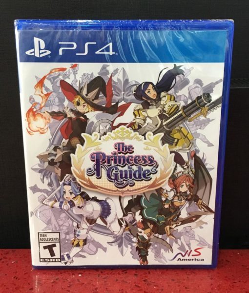 PS4 The Princess Guide game