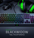 BLACKWIDOW