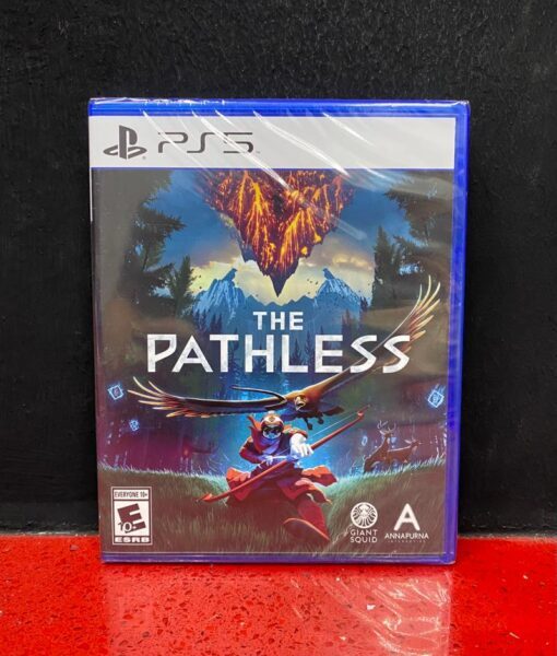 PS5 The Pathless game