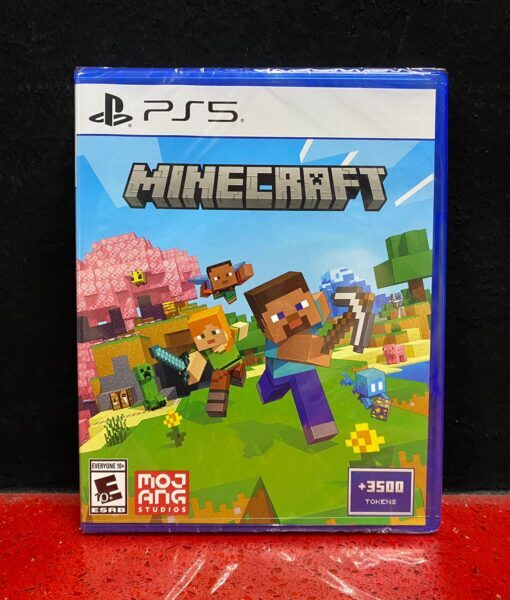 PS5 Minecraft game